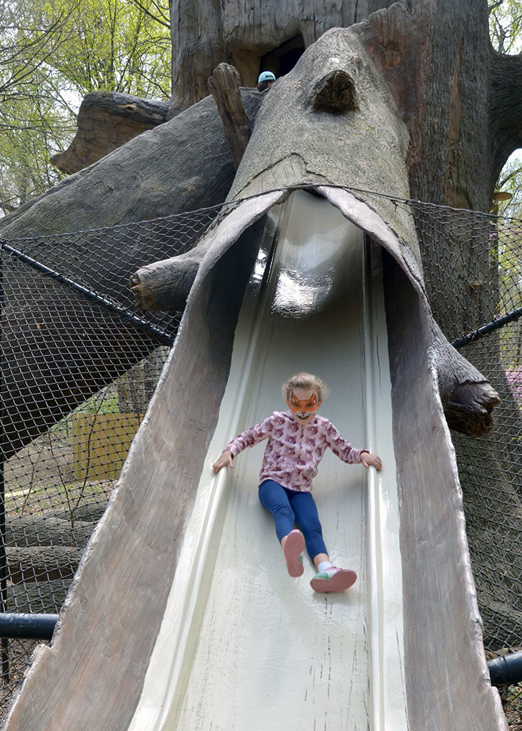 Tree Slide, Maryland Zoo