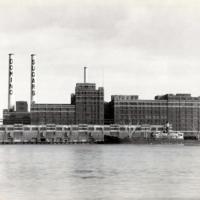 1930s view of Domino Sugar