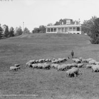South Terrace and Mansion (c.1906)