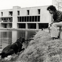 Retriever swimming in the Library Lake