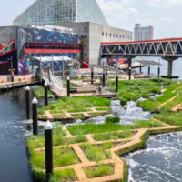 The floating wetlands