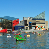 The National Aquarium