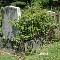Rogers Buchanan Cemetery